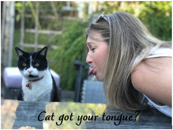 Cat got your tongue?