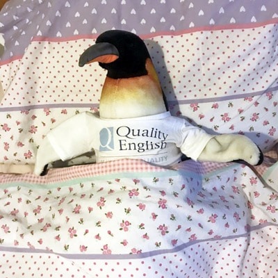 penguin in bed